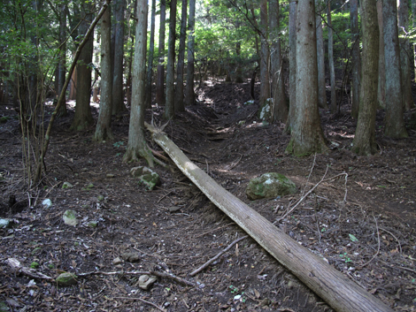 20151014hike (82)